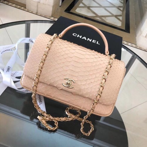 Chanel Bag 198 snake